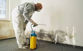 Mold Remediation for Vacation Homes in Saline, MI